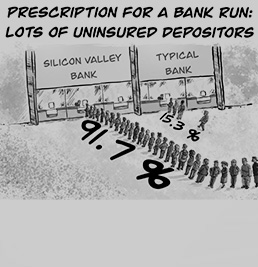 Built-to-Fail Banks and Bad Bankers
